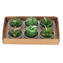 Load image into Gallery viewer, Mini Delicate Succulent Plants Candles Cactus Tea light Candles Handmade Delicate Succulent Cactus Candles Flameless Aromatherapy Candles For Birthday Party Wedding Spa Handmade Aromatherapy Candles For Birthday Party Wedding Home Decor Plant Candle