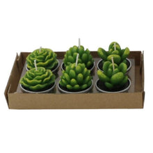 Load image into Gallery viewer, Mini Delicate Succulent Plants Candles Cactus Tea light Candles Handmade Delicate Succulent Cactus Candles Flameless Aromatherapy Candles For Birthday Party Wedding Spa Handmade Aromatherapy Candles For Birthday Party Wedding Home Decor Plant Candle