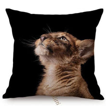 Load image into Gallery viewer, Modern Black And White Animals Portrait Photography Of Lion Zebra Elephant Tiger Pattern Sofa Pillow Cover Home Decor Square Cushions Cover 45x45cm