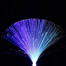 Load image into Gallery viewer, Multicolor LED Fiber Optic Light Lamp