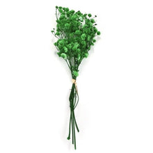 Load image into Gallery viewer, Natural Gypsophila Dried Flowers Mini Babysbreath Flower Preserve Floral Decor Bouquet Wedding Party Home Backdrop Decor 12cm