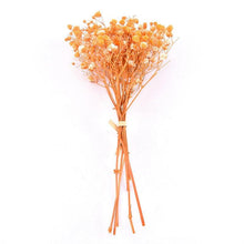 Load image into Gallery viewer, Natural Gypsophila Dried Flowers Mini Babysbreath Flower Preserve Floral Decor Bouquet Wedding Party Home Backdrop Decor 12cm