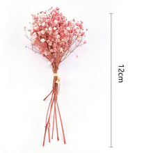 Load image into Gallery viewer, Natural Gypsophila Dried Flowers Mini Babysbreath Flower Preserve Floral Decor Bouquet Wedding Party Home Backdrop Decor 12cm