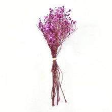 Load image into Gallery viewer, Natural Gypsophila Dried Flowers Mini Babysbreath Flower Preserve Floral Decor Bouquet Wedding Party Home Backdrop Decor 12cm