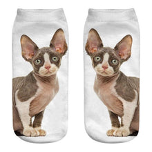 Load image into Gallery viewer, New Cartoon Cat Socks 3D Print Art Funny Socks Women Cute Low Cut Ankle Socks Made o Pure Cotton Short Socks Trending Fashion Short Ankle Socks For Men And Women