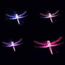 Load image into Gallery viewer, New Decorative Solar Outdoor Lights