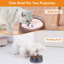 Load image into Gallery viewer, No Spill Dog Cat Water Bowl Spill Proof Slow Water Feeder