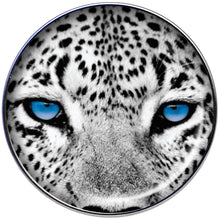 Load image into Gallery viewer, 16G 1/4 Black White Leopard Eyes Tragus Cartilage Earring