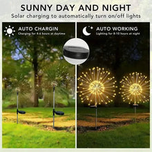 Load image into Gallery viewer, Outdoor Solar Garden Lights with 8 Lighting Modes