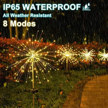 Load image into Gallery viewer, Outdoor Solar Garden Lights with 8 Lighting Modes