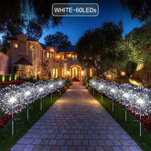 Load image into Gallery viewer, Outdoor Solar Garden Lights with 8 Lighting Modes