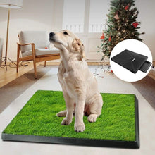 Load image into Gallery viewer, Pet Loo Portable Indoor/Outdoor Pet Potty