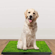 Load image into Gallery viewer, Pet Loo Portable Indoor/Outdoor Pet Potty