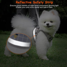 Load image into Gallery viewer, Pet Mesh Harness Dog Leash Puppy Vest