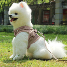 Load image into Gallery viewer, Pet Mesh Harness Dog Leash Puppy Vest