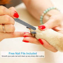 Load image into Gallery viewer, Pet Nail Toe Stainless Steel Trimmer with Nail File
