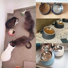 Load image into Gallery viewer, Premium Stainless Steel Cat & Dog Bowls - Non Slip Base for Food & Water