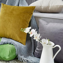 Load image into Gallery viewer, Super Soft Cushion Cover Velvet Pillow Cover Living Room Velvet Decorative Throw Pillow Covers Soft Solid Square Cushion Case For Couch Home Decorative Pillows