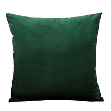 Load image into Gallery viewer, Super Soft Cushion Cover Velvet Pillow Cover Living Room Velvet Decorative Throw Pillow Covers Soft Solid Square Cushion Case For Couch Home Decorative Pillows