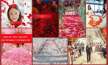 Load image into Gallery viewer, 1000PCs Fake Separated Deodorized Rose Petals Party Decorations Artificial Flowers Romantic Wedding Marriage Accessories For Valentine Gifts