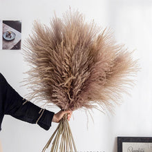 Load image into Gallery viewer, 30pcs Natural Dried Pampas Grass Bouquet Pampas Grass Reeds Flowers Bulrush Bouquets Durable For for Vase Artificial Grass Room Décor Wedding Decorations