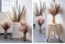 Load image into Gallery viewer, 30pcs Natural Dried Pampas Grass Bouquet Pampas Grass Reeds Flowers Bulrush Bouquets Durable For for Vase Artificial Grass Room Décor Wedding Decorations