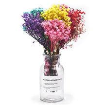 Load image into Gallery viewer, Natural Gypsophila Dried Flowers Mini Babysbreath Flower Preserve Floral Decor Bouquet Wedding Party Home Backdrop Decor 12cm