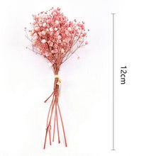 Load image into Gallery viewer, Natural Gypsophila Dried Flowers Mini Babysbreath Flower Preserve Floral Decor Bouquet Wedding Party Home Backdrop Decor 12cm