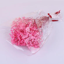 Load image into Gallery viewer, Natural Gypsophila Dried Flowers Mini Babysbreath Flower Preserve Floral Decor Bouquet Wedding Party Home Backdrop Decor 12cm