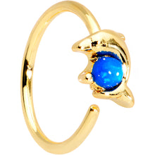 Load image into Gallery viewer, 20G Blue Gem Gold Tone Anodized Dolphin Seamless Circular Ring