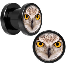 Load image into Gallery viewer, Full Color Owl Black Anodized Screw Fit Plug Set 0G