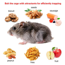 Load image into Gallery viewer, Rat Trap Cage Humane Live Rodent
