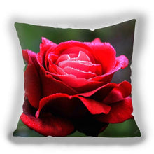 Load image into Gallery viewer, Red Flower Cushion Pillow Covers Love Pillow Covers Decorative Linen Square Couple Cushion Cases Home Decor Polyester Throw Pillow Case Super Soft Short Plush Cushion Cover Festive Home Decorative Cushions 45X45CM