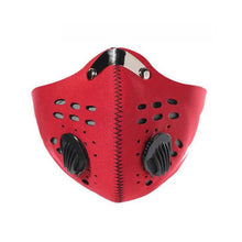 Load image into Gallery viewer, Reusable Dust Proof Mask With 3 Filters