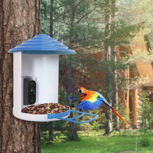 Load image into Gallery viewer, Smart Bird Feeder with Solar Powered Camera 1080P HD AI Identify PIR