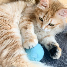 Load image into Gallery viewer, Smart Cat Toys Ball Catnip Cat Training Toy Pet Playing Ball Pet Products Toy for Cats Interactive Chirping Balls Cat Kicker Toys Fun Catnip Toys for Cat Exercise