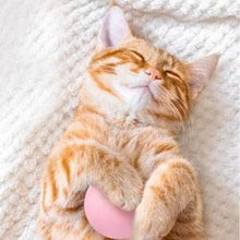 Load image into Gallery viewer, Smart Cat Toys Ball Catnip Cat Training Toy Pet Playing Ball Pet Products Toy for Cats Interactive Chirping Balls Cat Kicker Toys Fun Catnip Toys for Cat Exercise