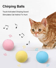 Load image into Gallery viewer, Smart Cat Toys Ball Catnip Cat Training Toy Pet Playing Ball Pet Products Toy for Cats Interactive Chirping Balls Cat Kicker Toys Fun Catnip Toys for Cat Exercise