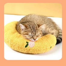 Load image into Gallery viewer, Soft Fluffy Pillows For Indoor Cats