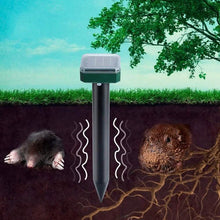 Load image into Gallery viewer, Solar Mole Repellent