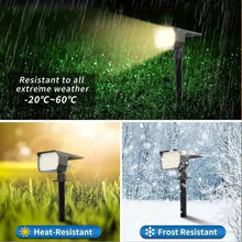 Load image into Gallery viewer, Solar Spot Lights and Solar Motion Sensor Spotlights