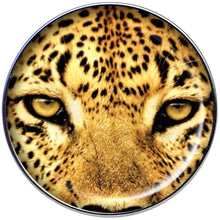 Load image into Gallery viewer, 16G 1/4 Full Color Leopard Eyes Tragus Cartilage Earring