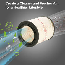 Load image into Gallery viewer, Vacuum Cartridge Filter Replacement