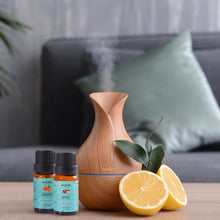 Load image into Gallery viewer, 10-Pack: Fruity Fragrance Premium Aromatherapy Diffuser Oils Set For Candle &amp; Soap Making
