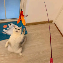 Load image into Gallery viewer, 11-Pack: Interactive Cat Toy Wand
