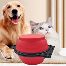 Load image into Gallery viewer, 2-in-1 Collapsible Double Dog Bowl
