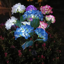 Load image into Gallery viewer, 2-Pack: Hydrangea Solar LED Flower Lights with 3 Heads Outdoor Waterproof Garden Lights

