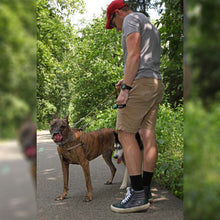 Load image into Gallery viewer, Muzzle Dog Repellent Pepper Spray
