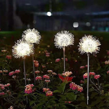 Load image into Gallery viewer, 2-Pack: Outdoor Solar Dandelion Lawn Lights
