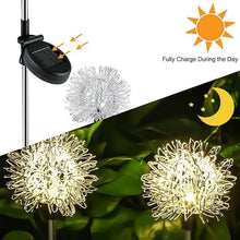 Load image into Gallery viewer, 2-Pack: Outdoor Solar Dandelion Lawn Lights

